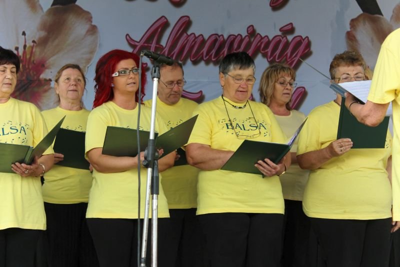 II. Almavirág Fesztivál